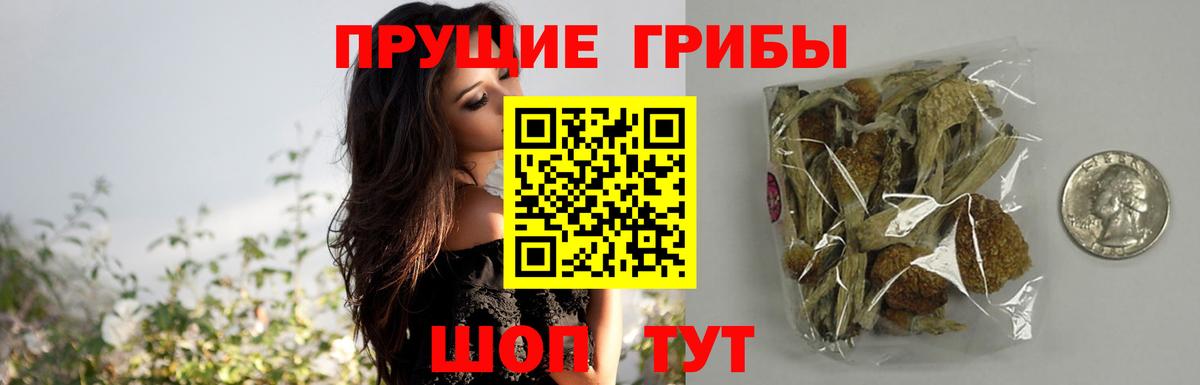 Псилоцибиновые грибы прущие грибы  Псилоцибиновые грибы GOLDEN TEACHER  Когалым  Вход с VPN 